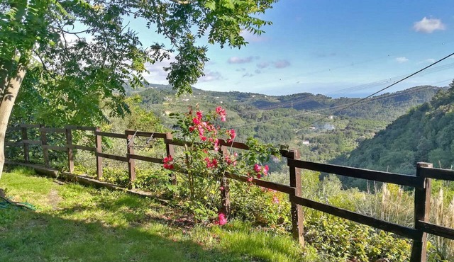 Quiet, hilly location, apartment with a view of the sea