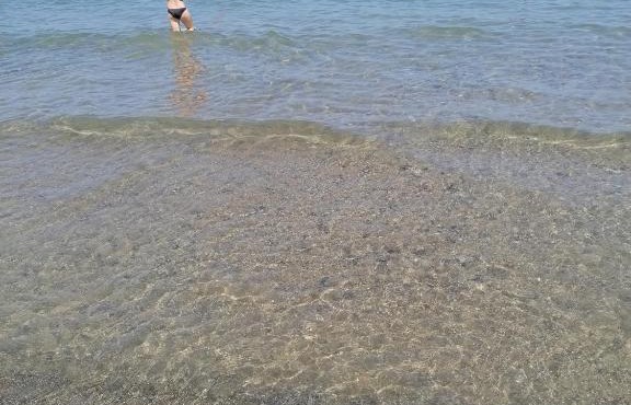 Stella marina