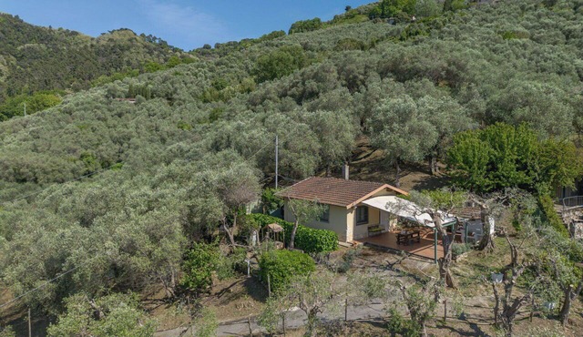 Stunning private villa for 2 guests with WIFI, A/C, TV, patio and pets allowed