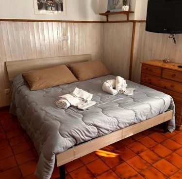 Suite dream