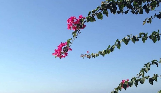 The window on the sea!Villa on the sea of the Naturalistic Oasis of Plemmirio