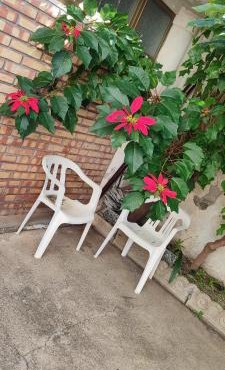 ToMa House in Pellaro