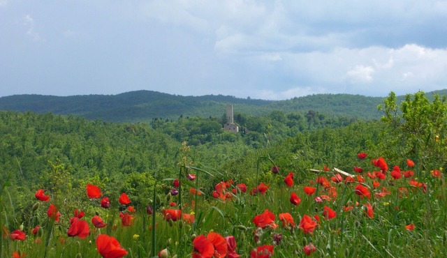 "Torre di Sant'Ansano" Farmhouse