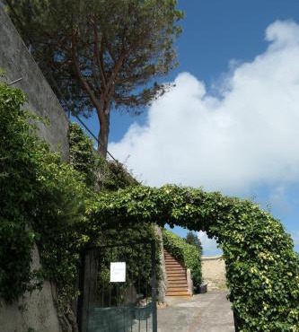 Villa Andrea