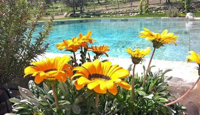 Villa Casaglia 3apartment With Shared Pool