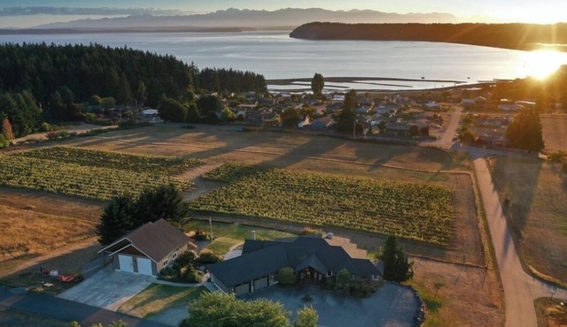 Vineyard Villa Bayview Getaway. Family Friends Gathering and Kids' Fun Paradise in Clinton