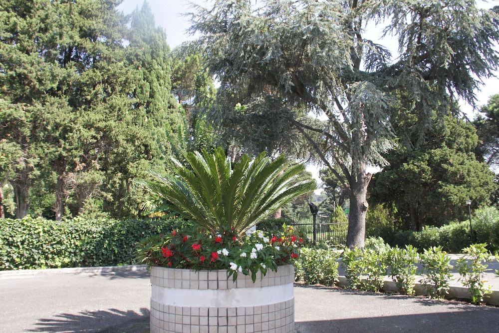 Photo of Others in Zona XLV Castel di Guido