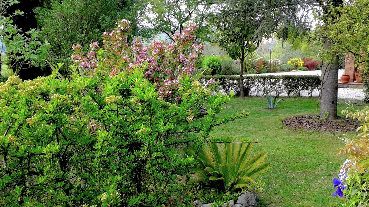 Photo of Outdoor in Quartaccio