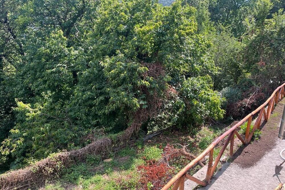 Photo of Outdoor in Vagli Sotto