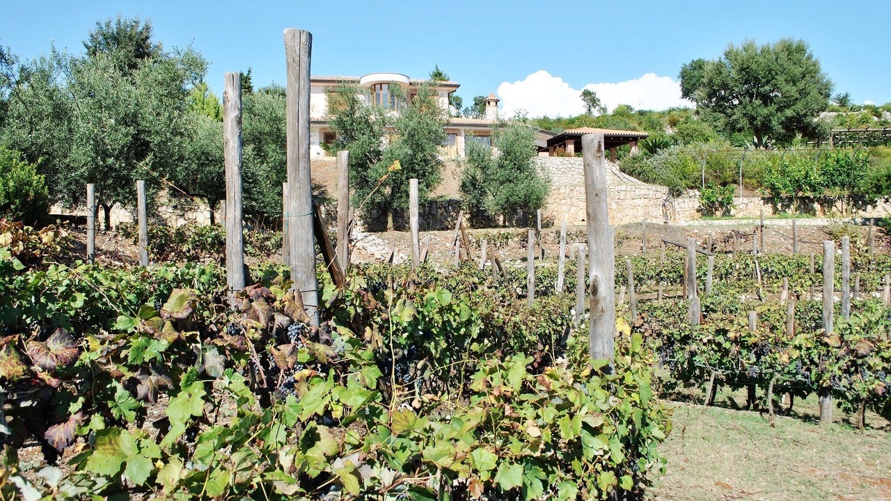 Photo of Outdoor in Itri