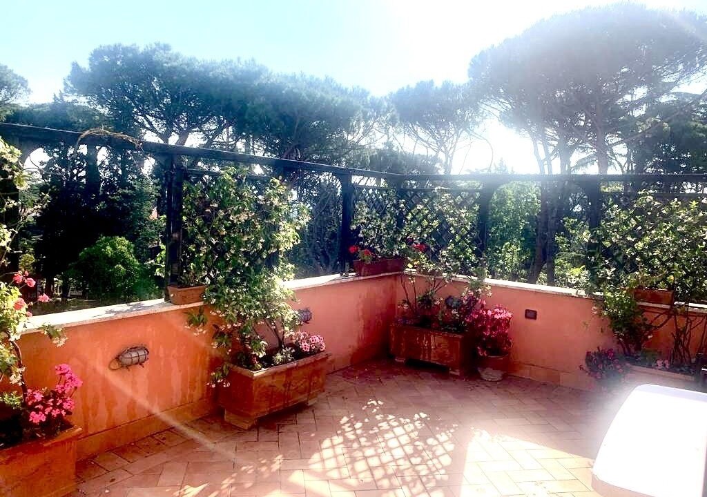 Photo of Outdoor in Cassia