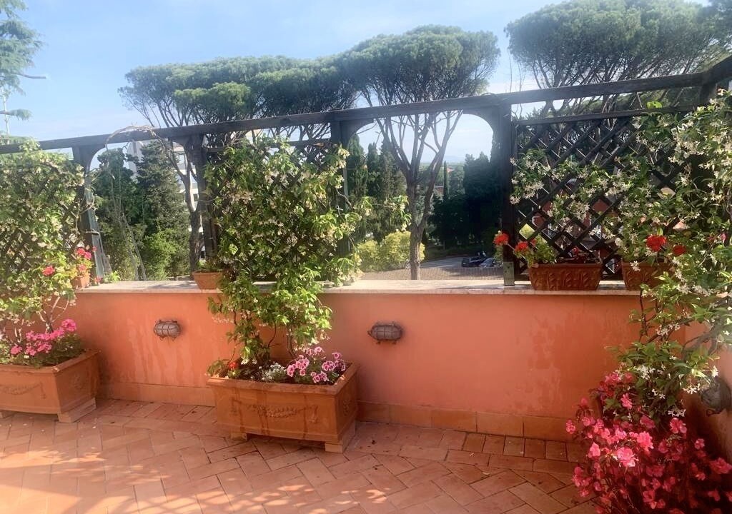 Photo of Outdoor in Cassia