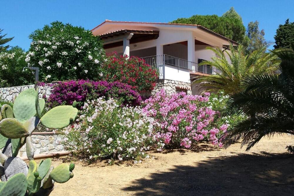 Photo of Outdoor in Lido di Capoliveri