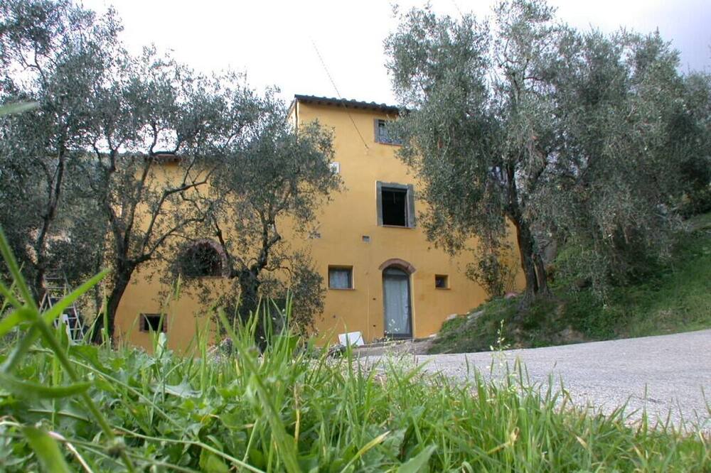 Photo of Outdoor in Calci