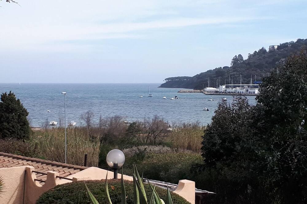 Photo of Others in Mola