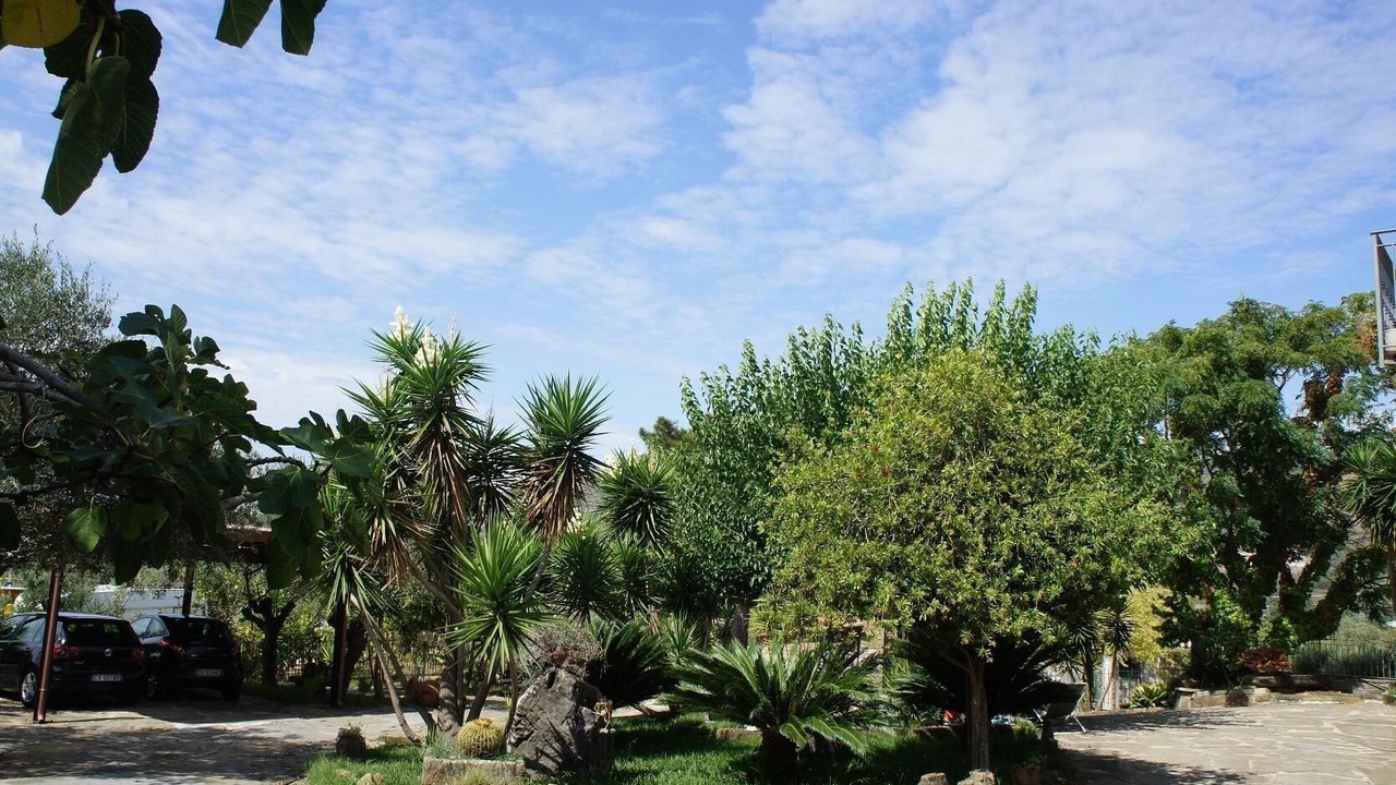 Photo of Outdoor in Alani
