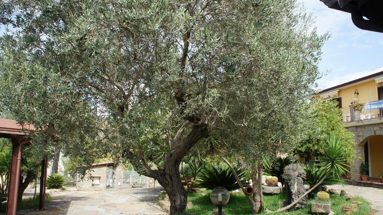 Photo of Outdoor in Alani
