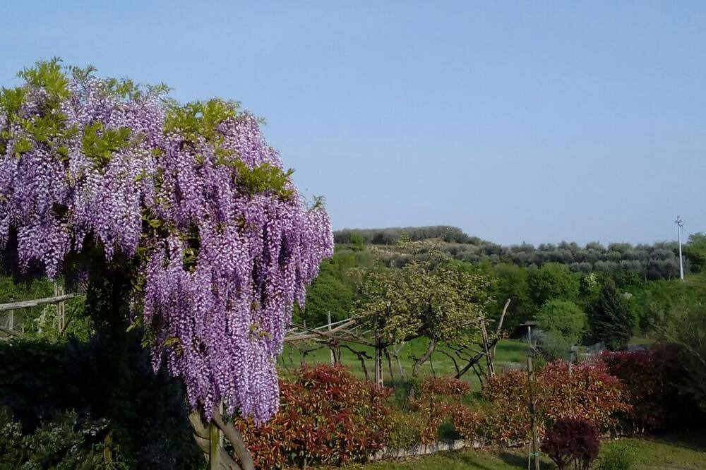 Photo of Outdoor in Tacconi