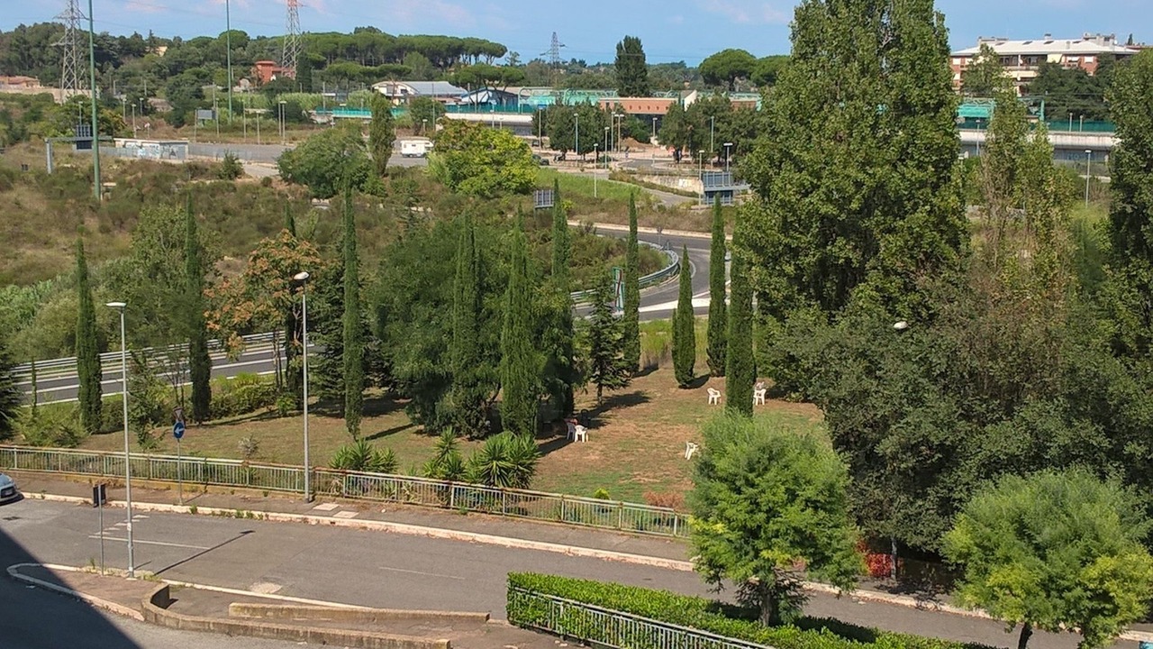 Photo of Others in Cassia
