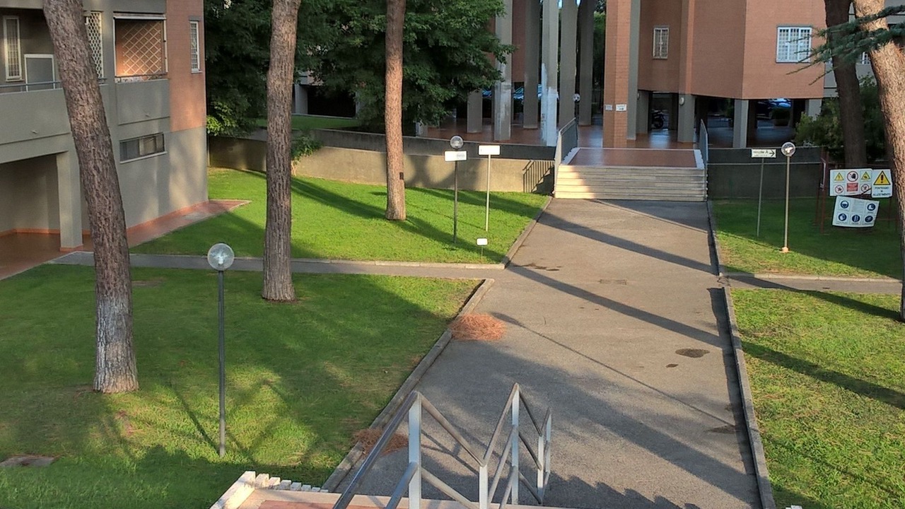 Photo of Outdoor in Cassia