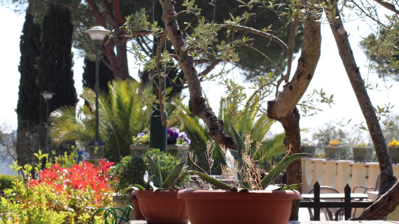 Photo of Outdoor in Quercegrossa