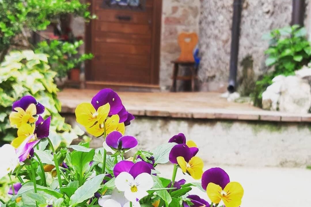 Photo of Outdoor in Artena