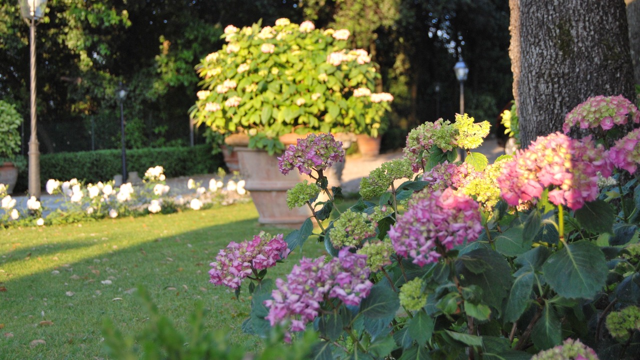 Photo of Outdoor in Grassina