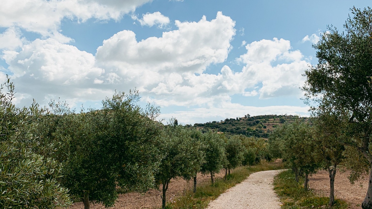 Photo of Outdoor in Avola