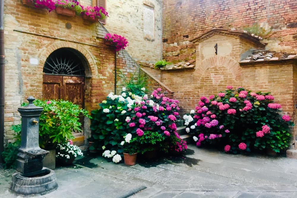 Photo of Outdoor in Buonconvento