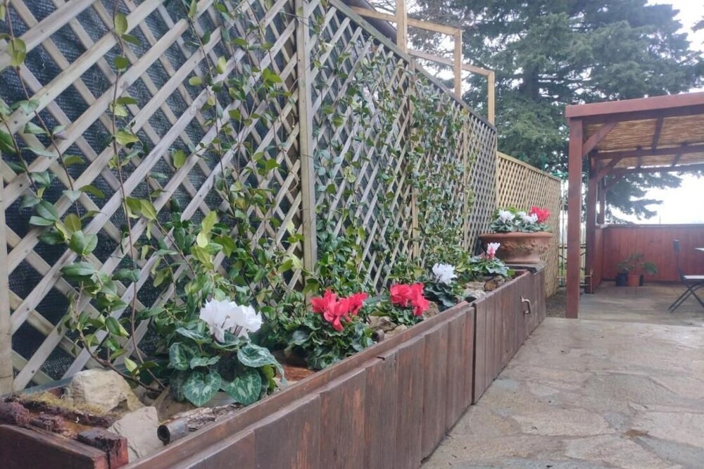 Photo of Outdoor in Pelago