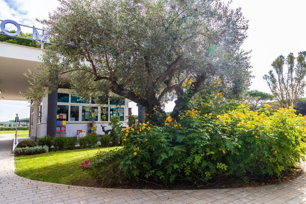 Photo of Outdoor in Zona XXXIV Casal Palocco