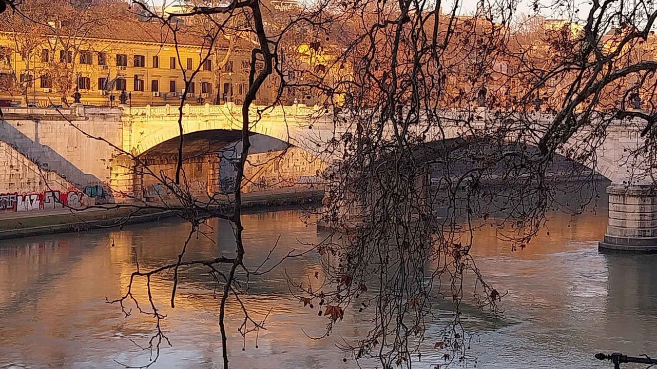Photo of Others in Rione VII Regola