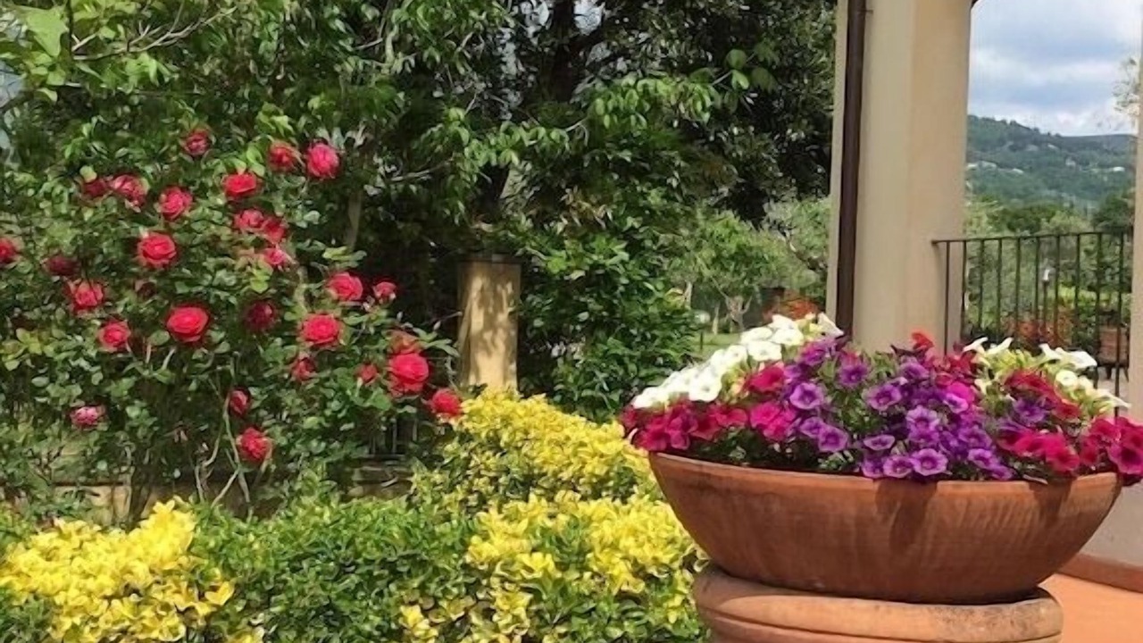 Photo of Outdoor in Bivio Pozzo