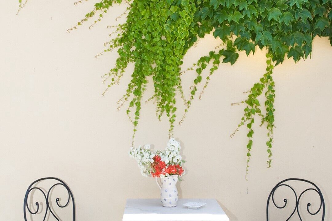 Photo of Outdoor in Zona LIX Polline Martignano