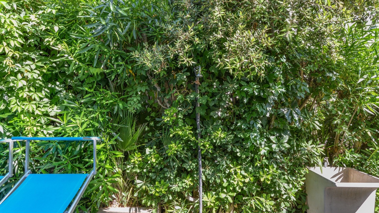 Photo of Outdoor in Procchio