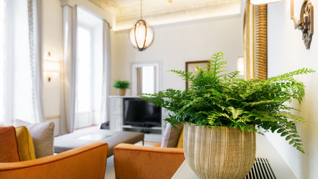 Photo of Livingroom in Santa Croce