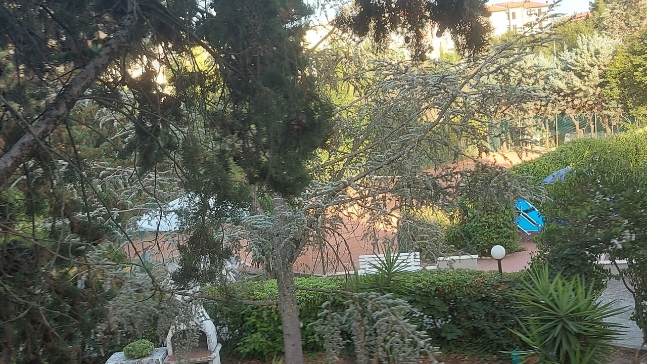 Photo of Outdoor in Montespertoli