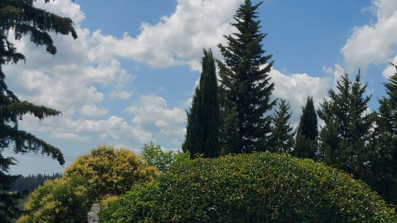 Photo of Outdoor in Montespertoli