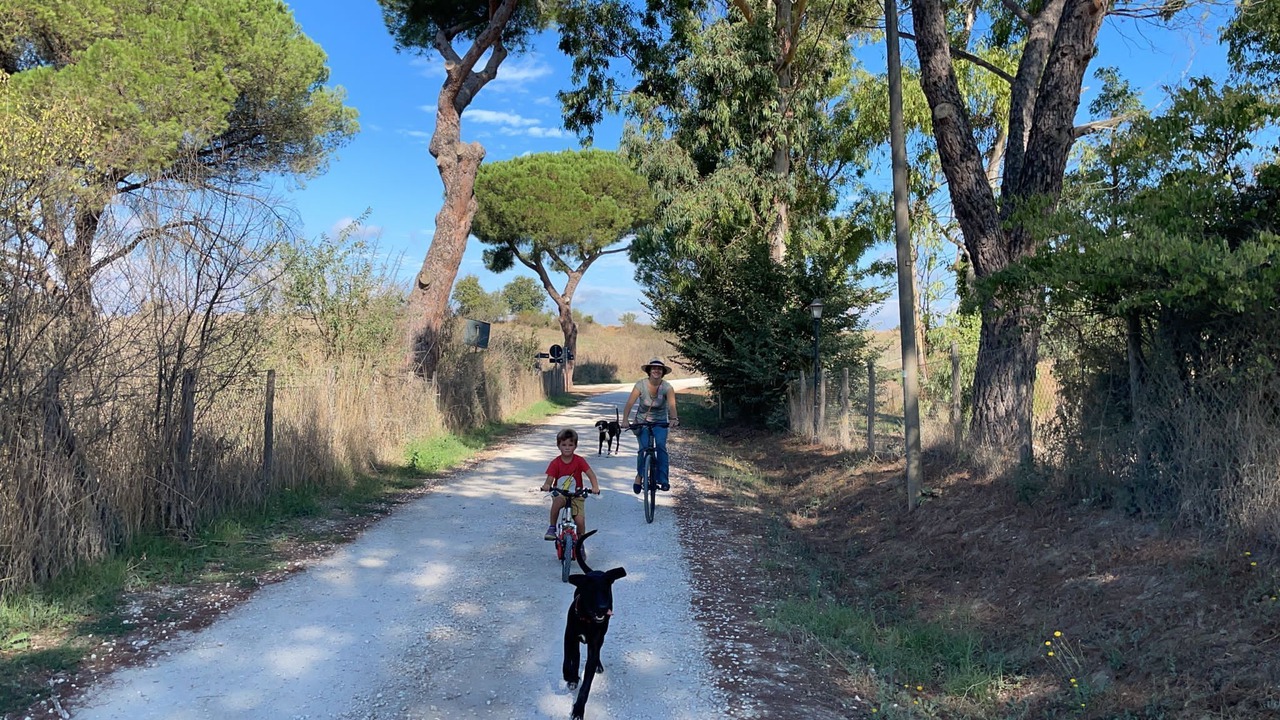 Photo of Outdoor in Isola Farnese