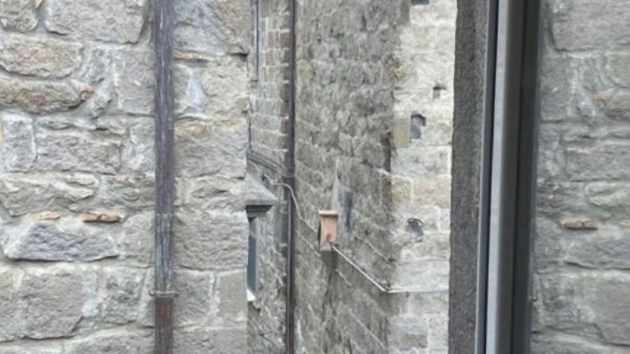 Photo of Others in Viterbo