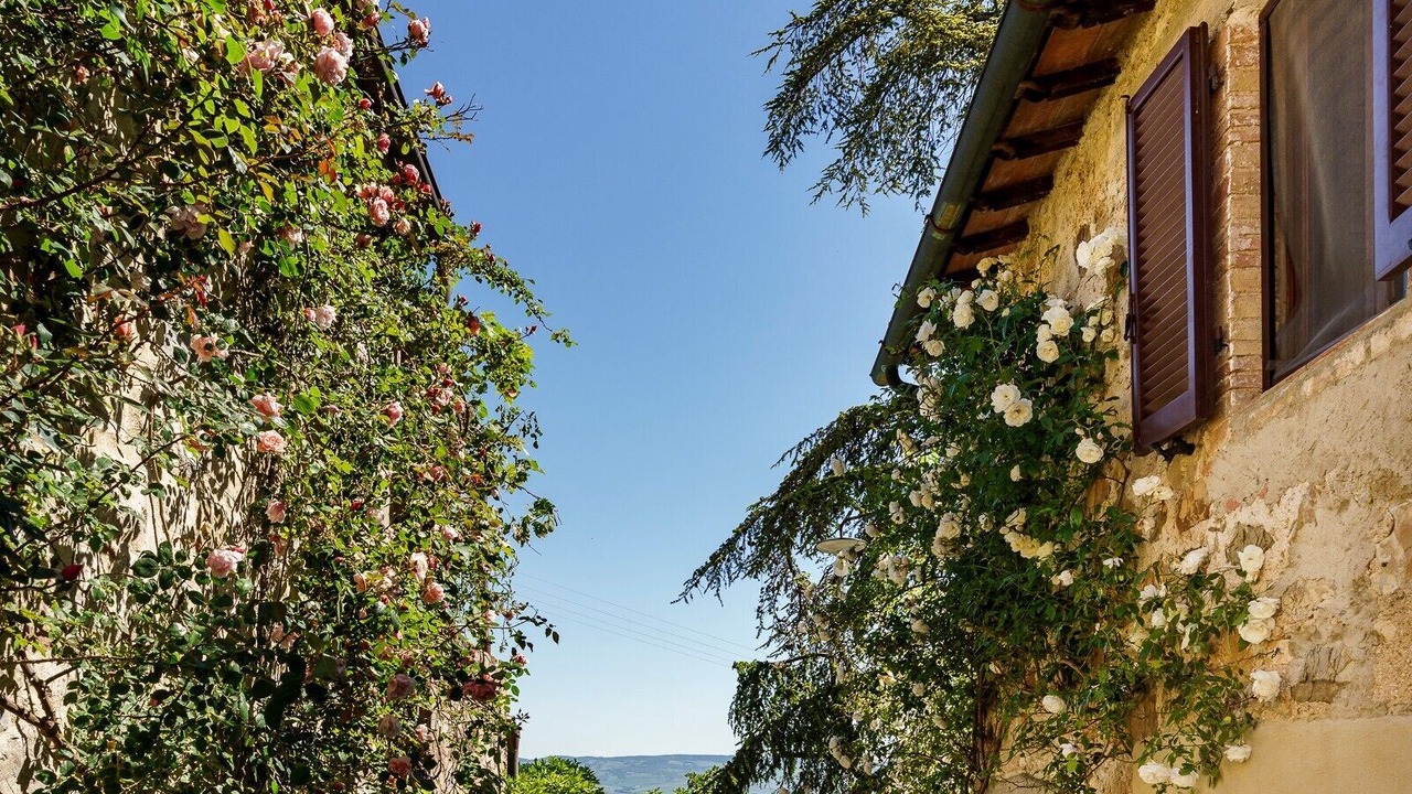 Photo of Outdoor in Castiglione d'Orcia