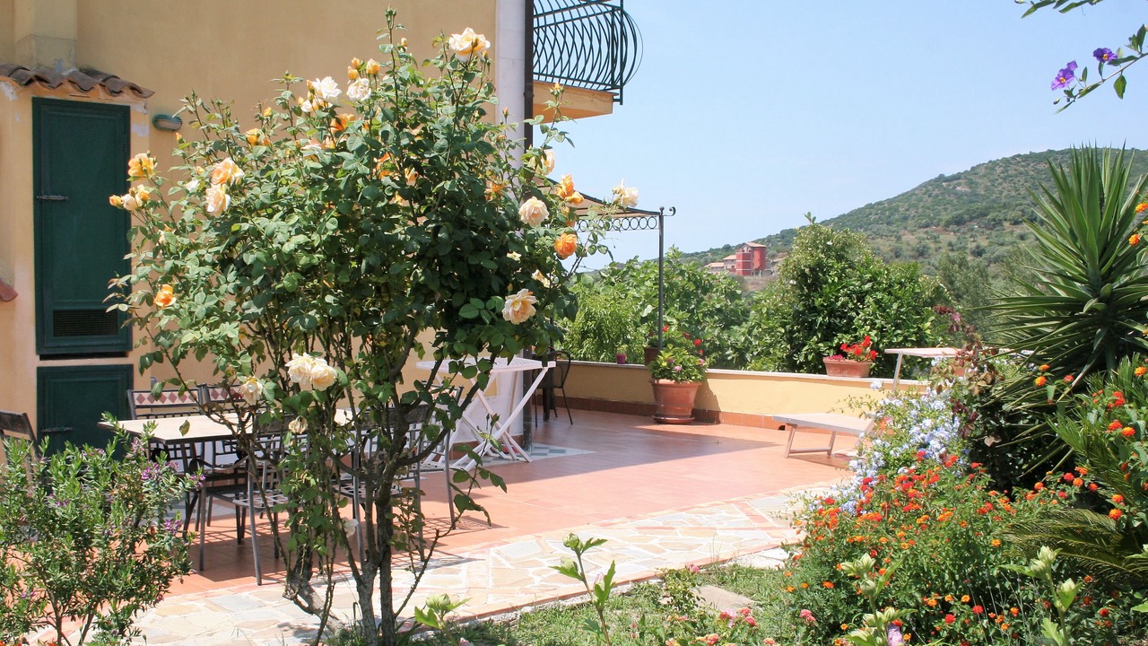 Photo of Outdoor in Alani