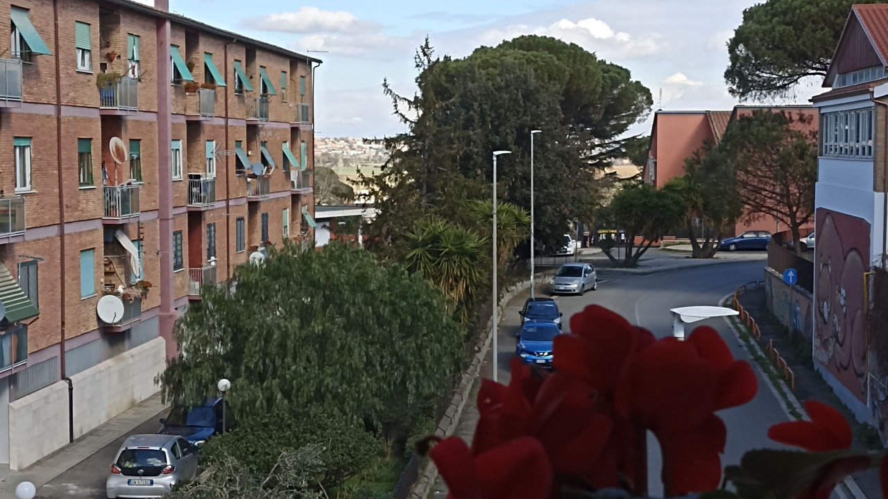 Photo of Others in Zona XXXIII Acilia Sud