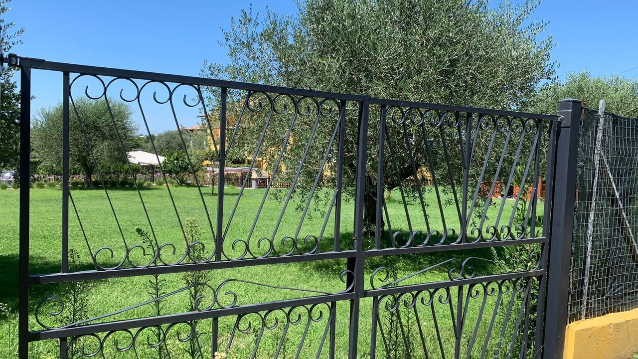 Photo of Outdoor in Lake Bracciano