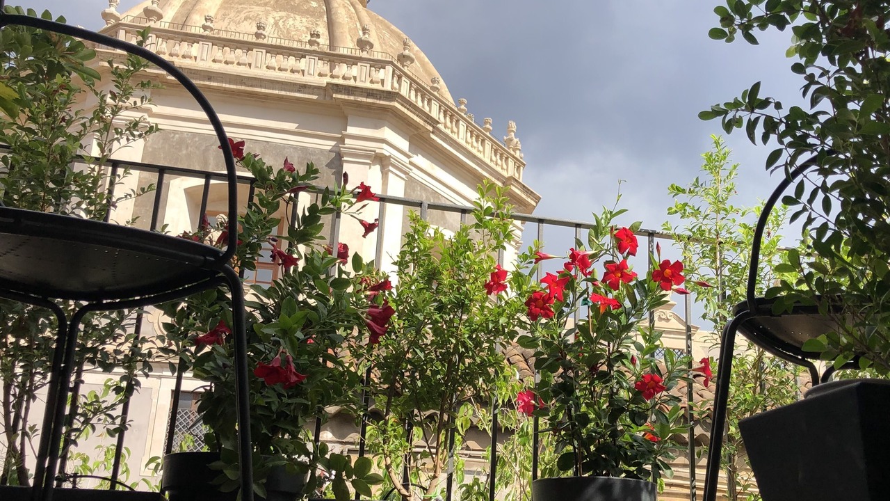 Photo of Outdoor in Catania City Centre
