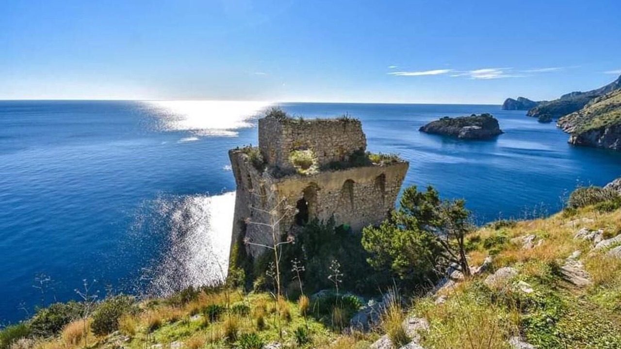 Photo of Others in Sorrento City Centre