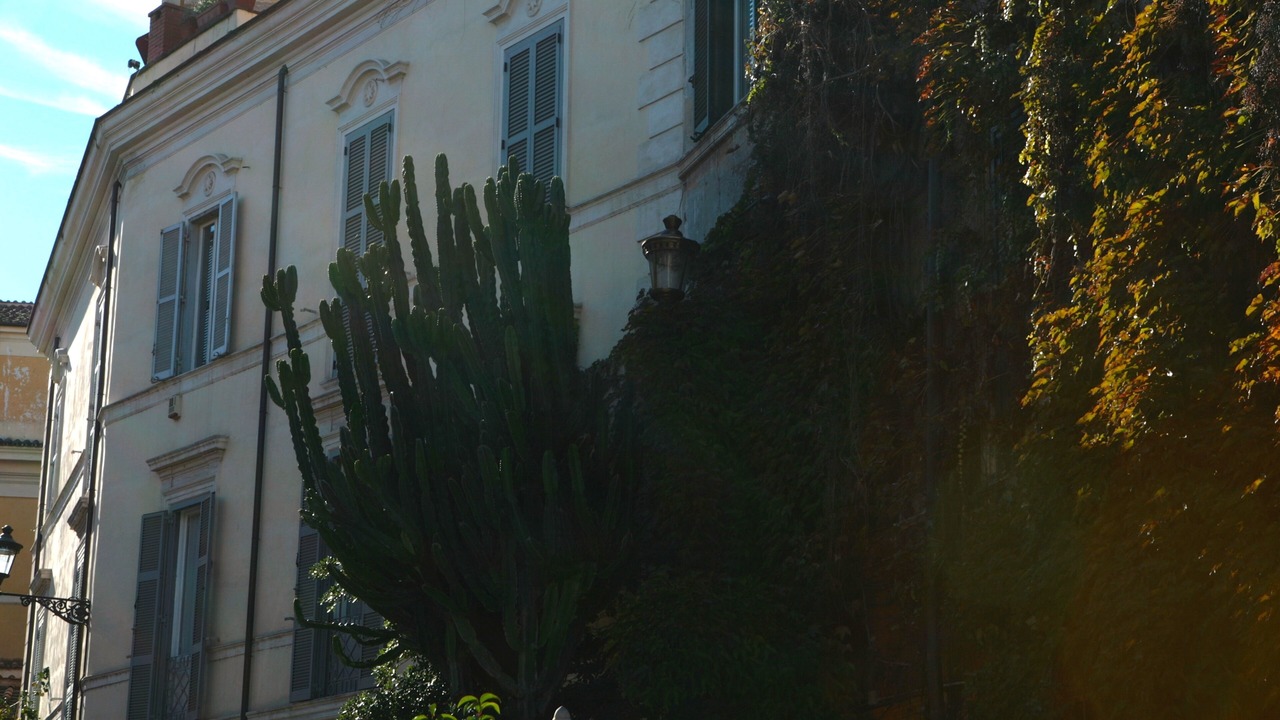 Photo of Outdoor in Trastevere