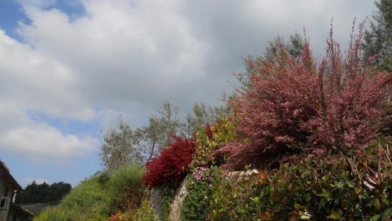 Photo of Outdoor in Giugnano