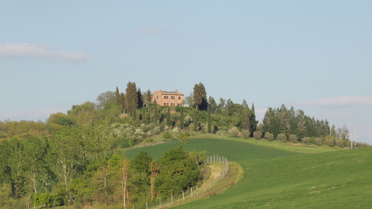 Photo of Others in Ponte di Gabbiano
