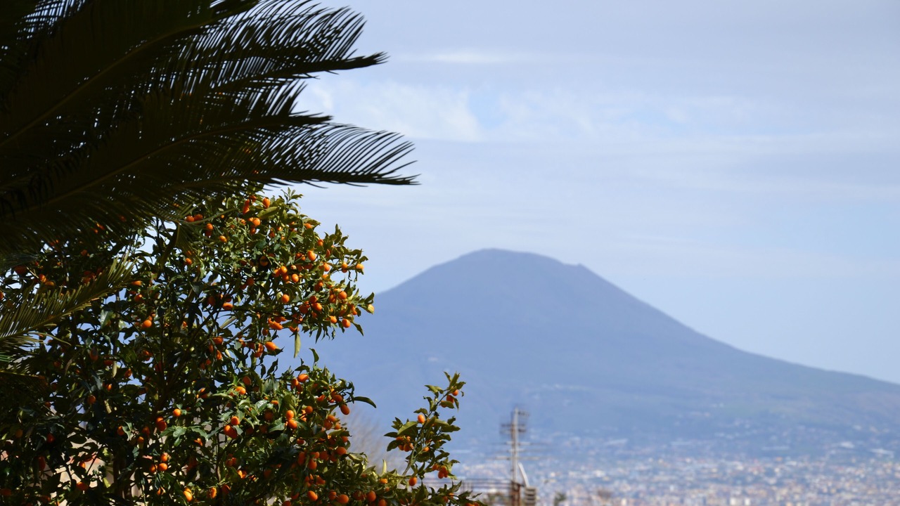 Photo of Outdoor in Vomero